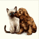 Заготовка для наволочки з гобелену "Котик і собачка", 45*45см, Іспанія